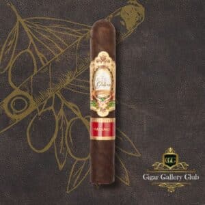 Maduro: Chaveta (Robusto)
