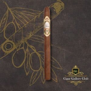 Corojo: Lancero (Perillas)