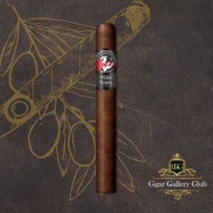 La Gloria Cubana: Medio Tiempo