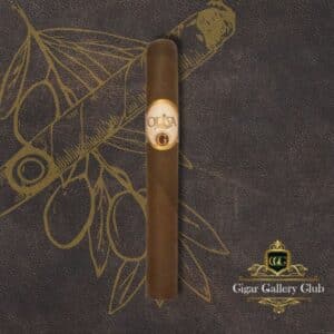 The Serie G: Toro Round